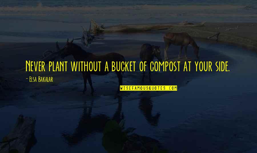 Elsa's Quotes By Elsa Bakalar: Never plant without a bucket of compost at