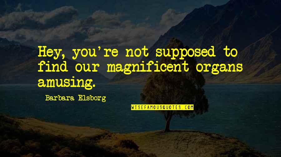 Elsborg Quotes By Barbara Elsborg: Hey, you're not supposed to find our magnificent
