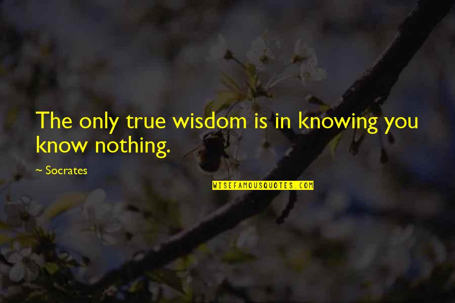 Elsky 335 Quotes By Socrates: The only true wisdom is in knowing you