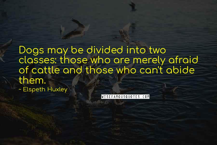 Elspeth Huxley quotes: Dogs may be divided into two classes: those who are merely afraid of cattle and those who can't abide them. Elspeth Huxley quotes: Dogs may be divided into two classes: those who are merely afraid of cattle and those who can't abide them.