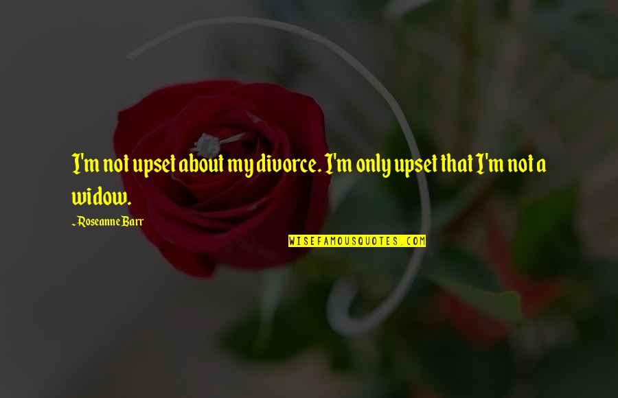 Elstner Associates Quotes By Roseanne Barr: I'm not upset about my divorce. I'm only