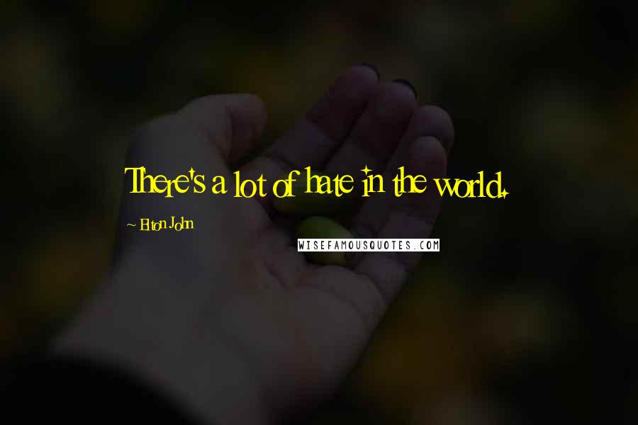 Elton John quotes: There's a lot of hate in the world.