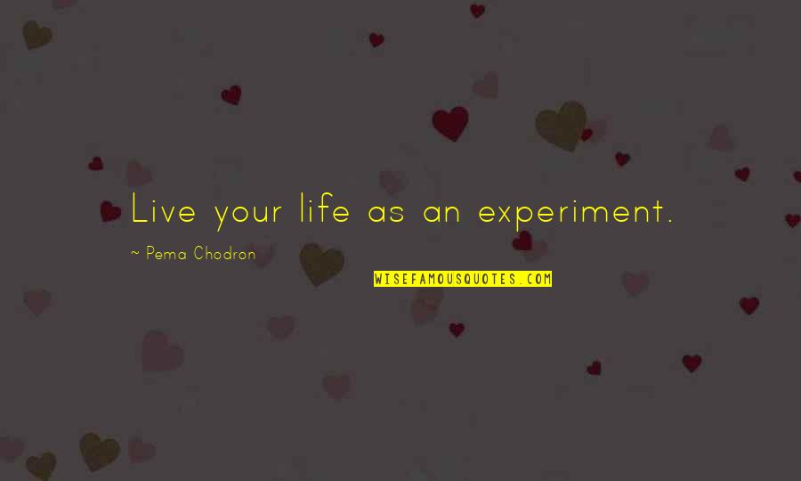 Eluana Okilo Quotes By Pema Chodron: Live your life as an experiment.