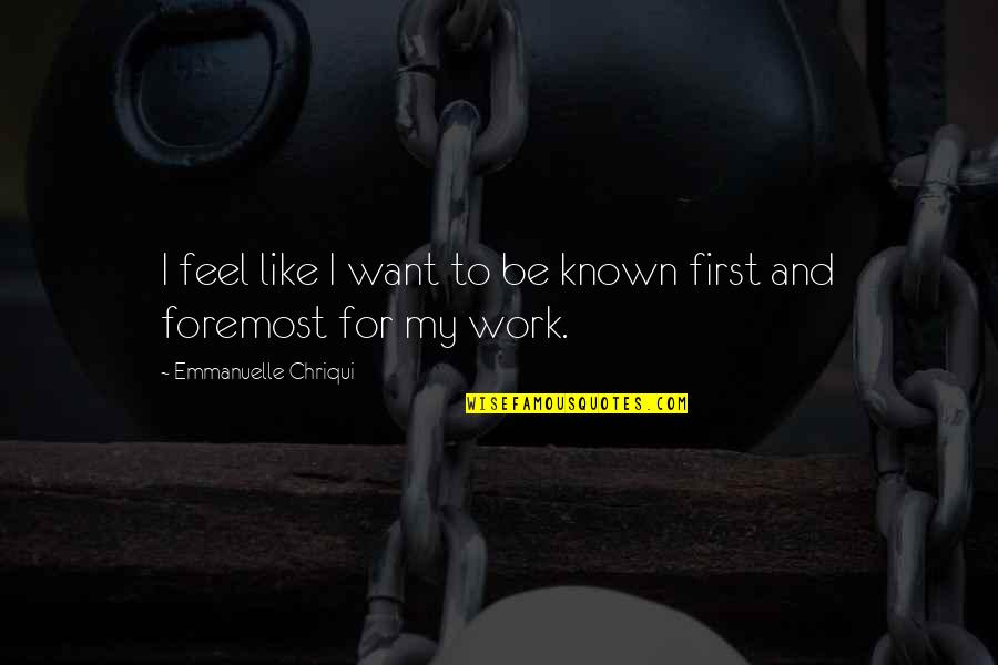 Elucidation Chemistry Quotes By Emmanuelle Chriqui: I feel like I want to be known