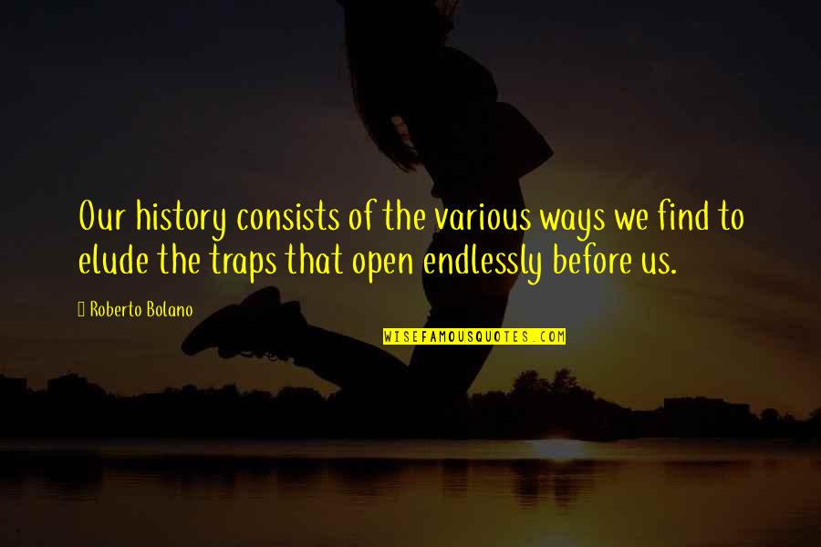 Elude You Quotes By Roberto Bolano: Our history consists of the various ways we