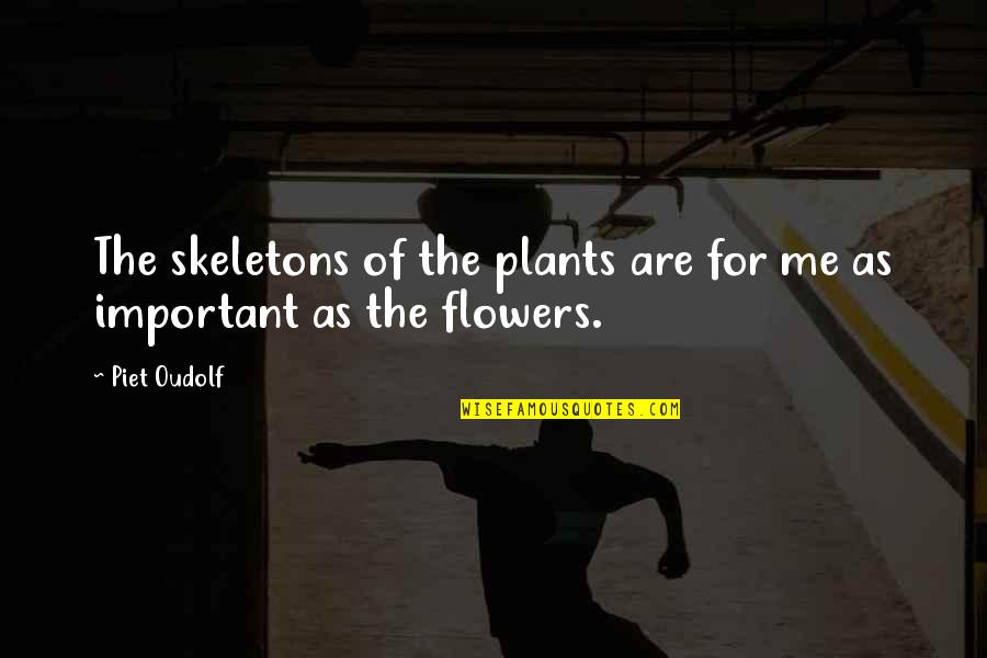 Elusioned Quotes By Piet Oudolf: The skeletons of the plants are for me