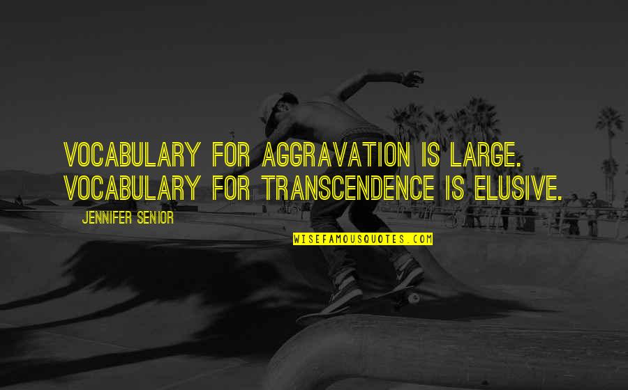 Elusive Quotes By Jennifer Senior: Vocabulary for aggravation is large. Vocabulary for transcendence