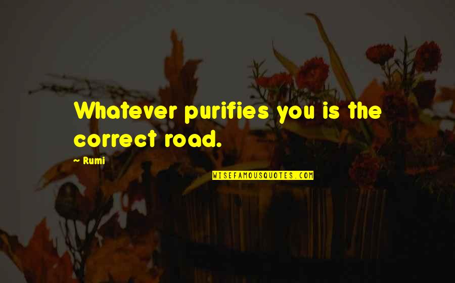 Elvendork Harry Quotes By Rumi: Whatever purifies you is the correct road.