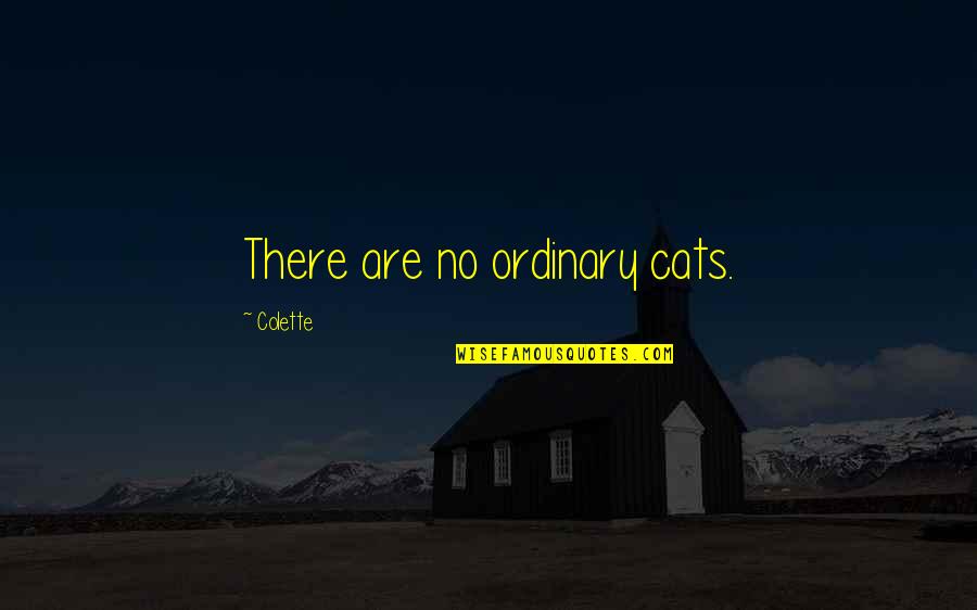 Elverum Sykehus Quotes By Colette: There are no ordinary cats.
