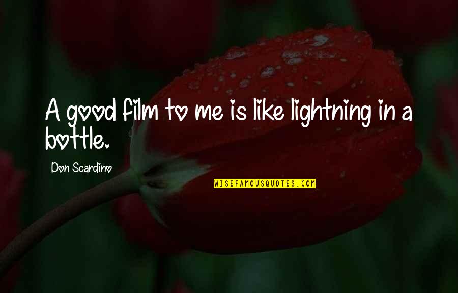 Elvira Hancock Quotes By Don Scardino: A good film to me is like lightning