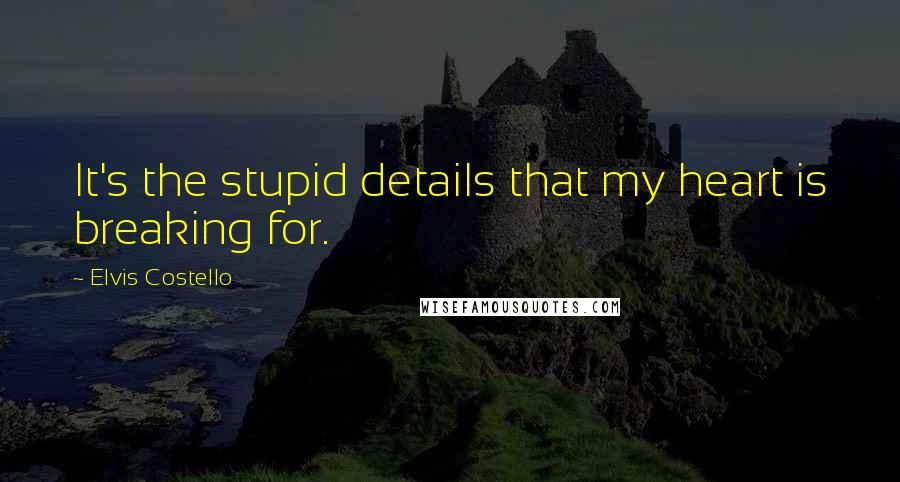 Elvis Costello quotes: It's the stupid details that my heart is breaking for.