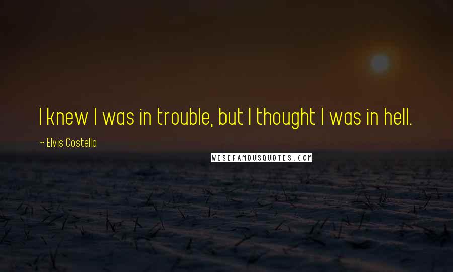 Elvis Costello quotes: I knew I was in trouble, but I thought I was in hell.