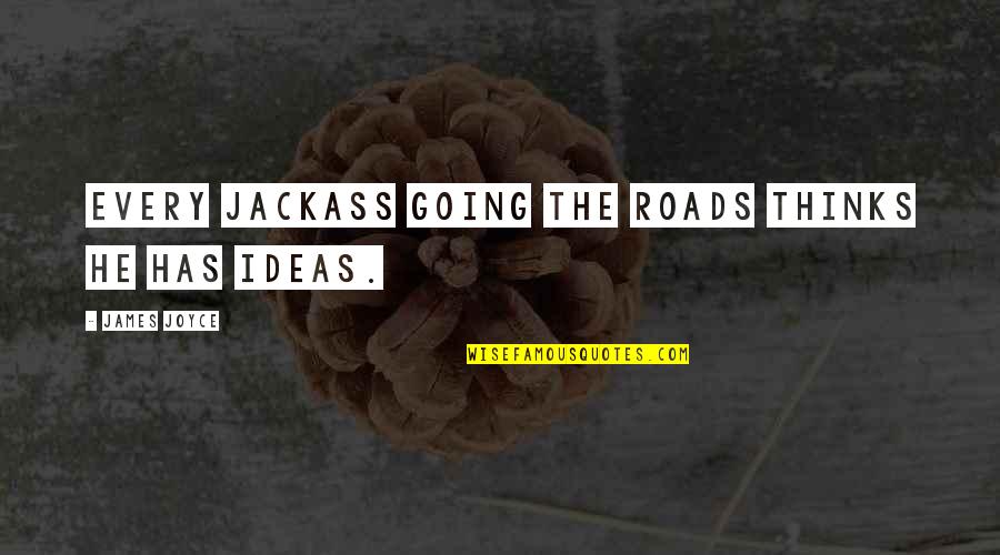 Elvis Influence Quotes By James Joyce: Every jackass going the roads thinks he has