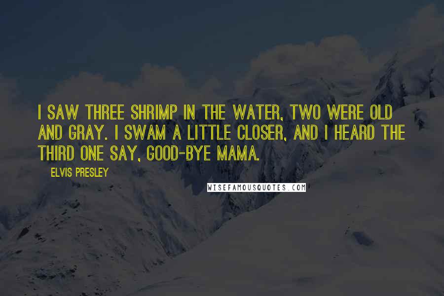 Elvis Presley quotes: I saw three shrimp in the water, two were old and gray. I swam a little closer, and I heard the third one say, good-bye Mama.