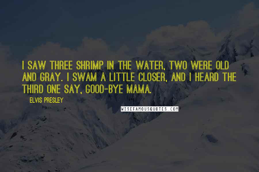 Elvis Presley quotes: I saw three shrimp in the water, two were old and gray. I swam a little closer, and I heard the third one say, good-bye Mama. Elvis Presley quotes: I saw three shrimp in the water, two were old and gray. I swam a little closer, and I heard the third one say, good-bye Mama.