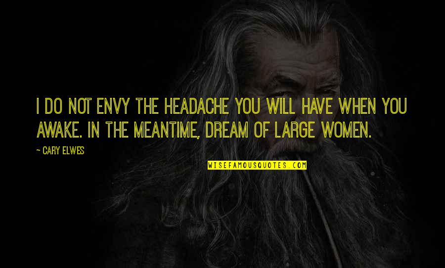 Elwes Cary Quotes By Cary Elwes: I do not envy the headache you will