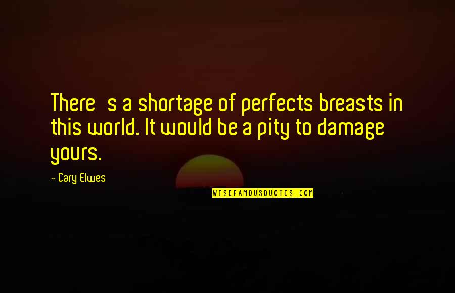 Elwes Cary Quotes By Cary Elwes: There's a shortage of perfects breasts in this