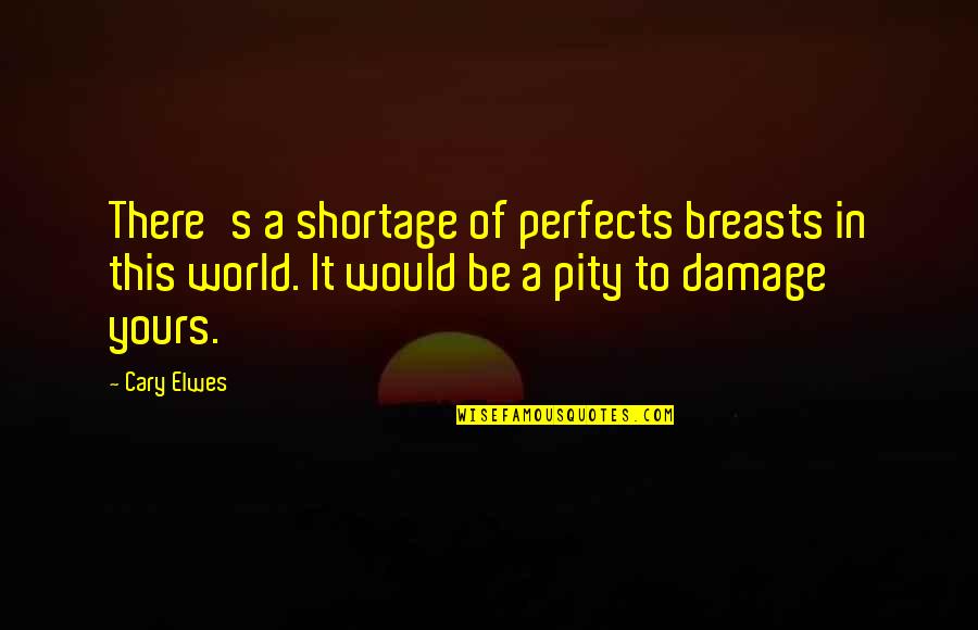 Elwes Cary Quotes By Cary Elwes: There's a shortage of perfects breasts in this Elwes Cary Quotes By Cary Elwes: There's a shortage of perfects breasts in this