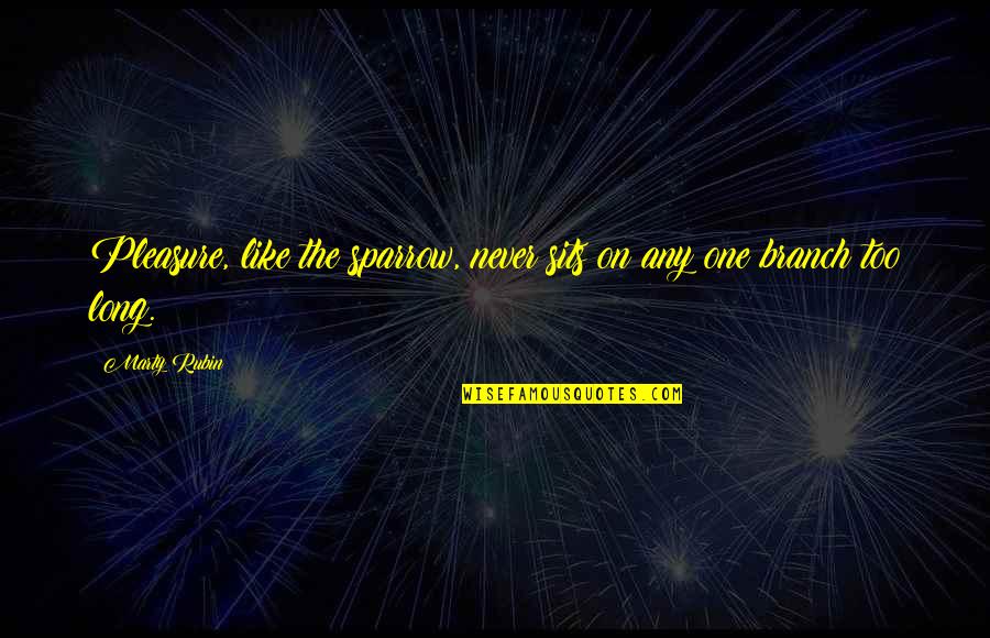 Elynor Monks Quotes By Marty Rubin: Pleasure, like the sparrow, never sits on any