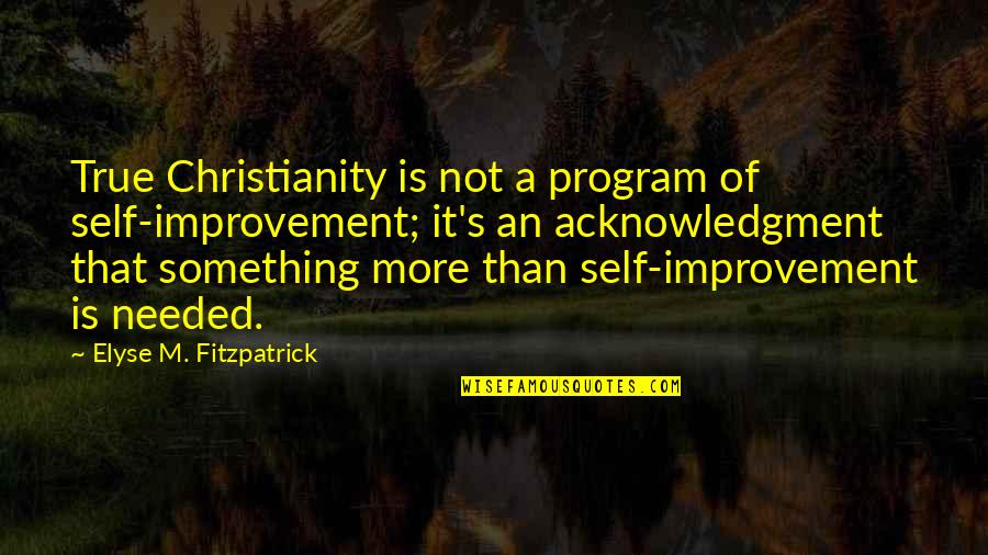 Elyse's Quotes By Elyse M. Fitzpatrick: True Christianity is not a program of self-improvement;
