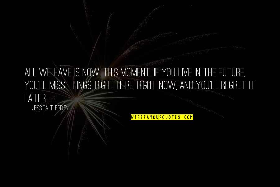 Elyse's Quotes By Jessica Therrien: All we have is now, this moment. If