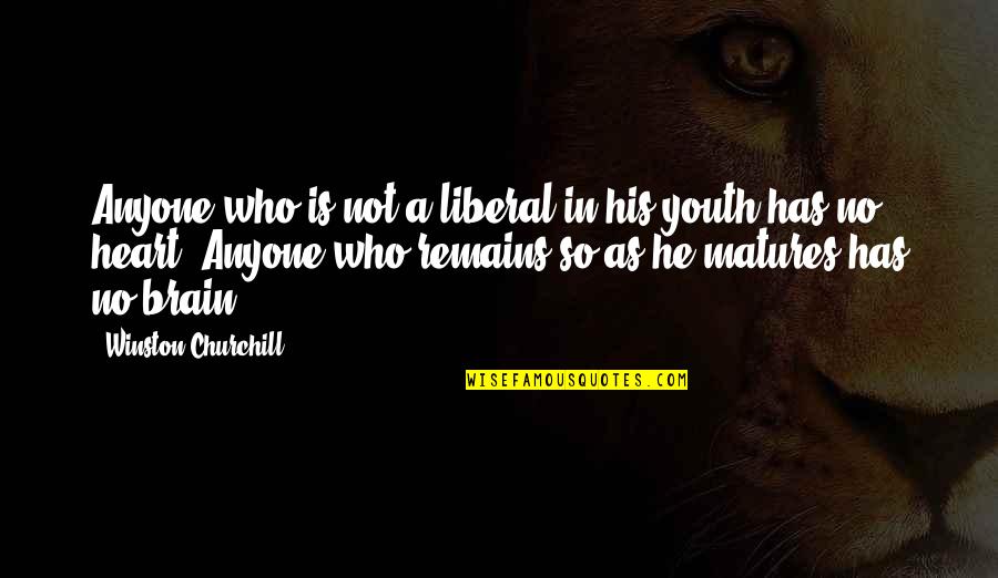 Em Marchetti Quotes By Winston Churchill: Anyone who is not a liberal in his