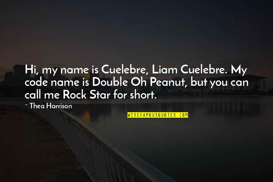 Email Sign Off Quotes By Thea Harrison: Hi, my name is Cuelebre, Liam Cuelebre. My