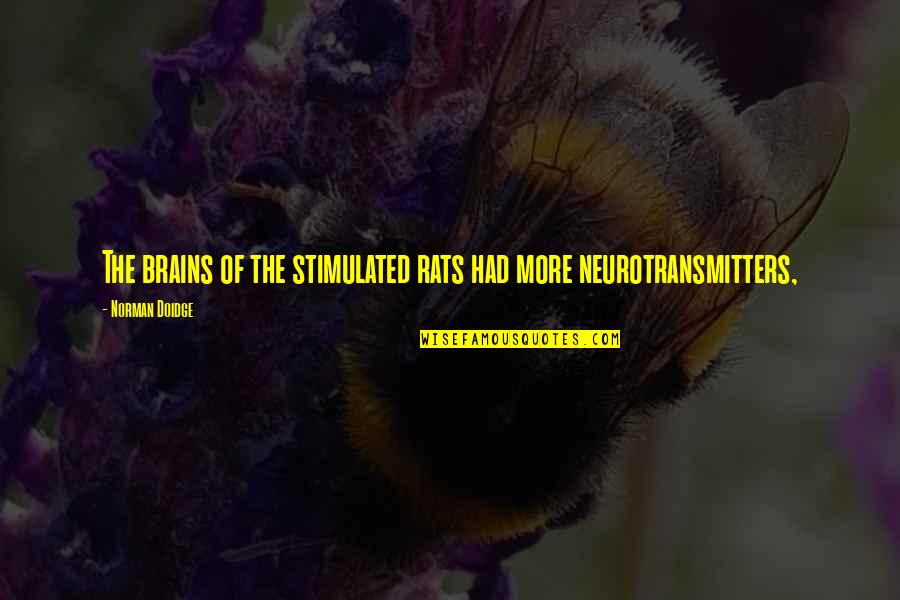 Emanuelson Dad Quotes By Norman Doidge: The brains of the stimulated rats had more Emanuelson Dad Quotes By Norman Doidge: The brains of the stimulated rats had more