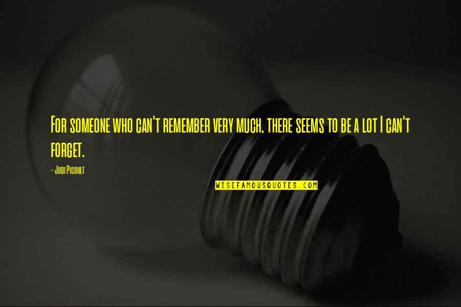 Embarazadas Funny Quotes By Jodi Picoult: For someone who can't remember very much, there