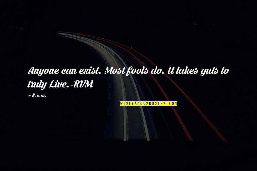 Embarcaciones De Colon Quotes By R.v.m.: Anyone can exist. Most fools do. It takes