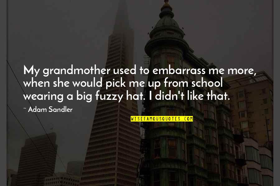 Embarrass Me Quotes By Adam Sandler: My grandmother used to embarrass me more, when