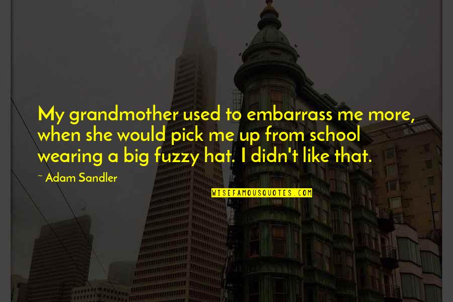 Embarrass Quotes By Adam Sandler: My grandmother used to embarrass me more, when