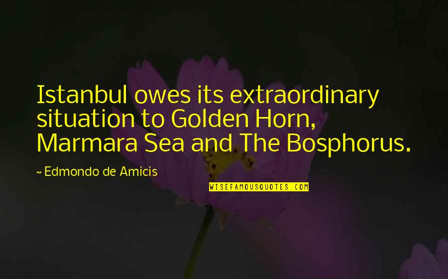 Embleton And Sons Quotes By Edmondo De Amicis: Istanbul owes its extraordinary situation to Golden Horn,