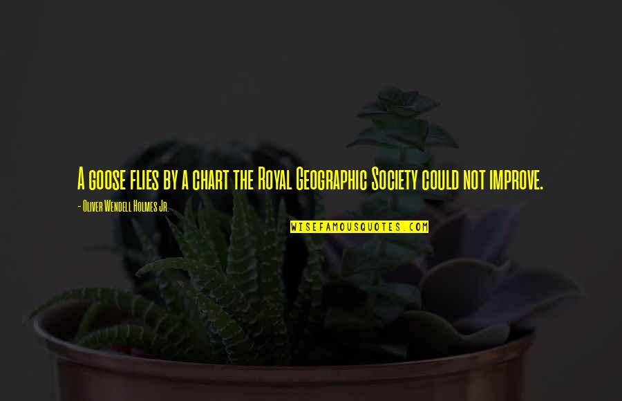Emboscada Significado Quotes By Oliver Wendell Holmes Jr.: A goose flies by a chart the Royal Emboscada Significado Quotes By Oliver Wendell Holmes Jr.: A goose flies by a chart the Royal