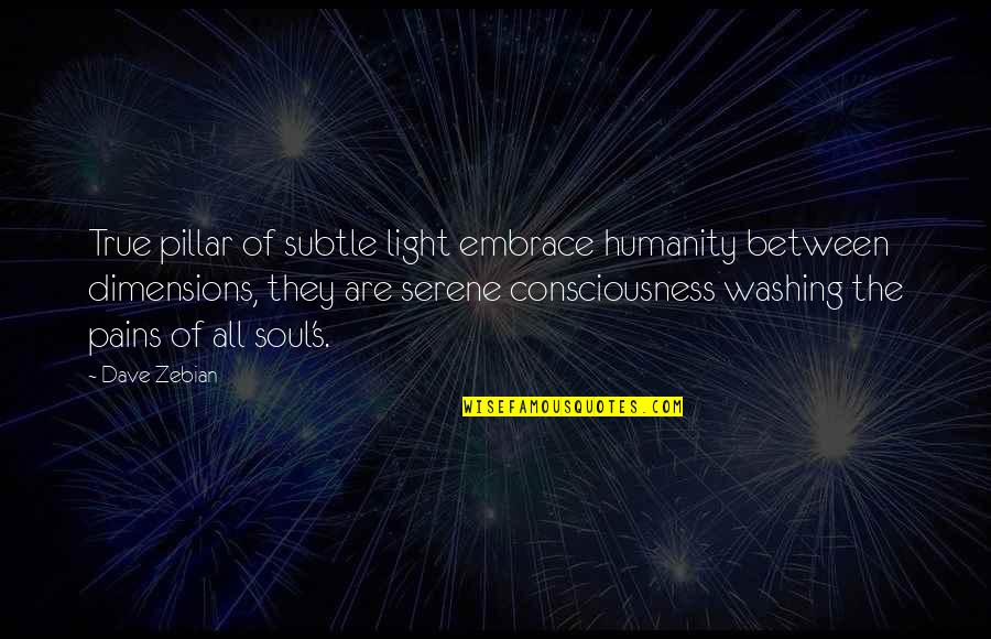 Embrace's Quotes By Dave Zebian: True pillar of subtle light embrace humanity between Embrace's Quotes By Dave Zebian: True pillar of subtle light embrace humanity between