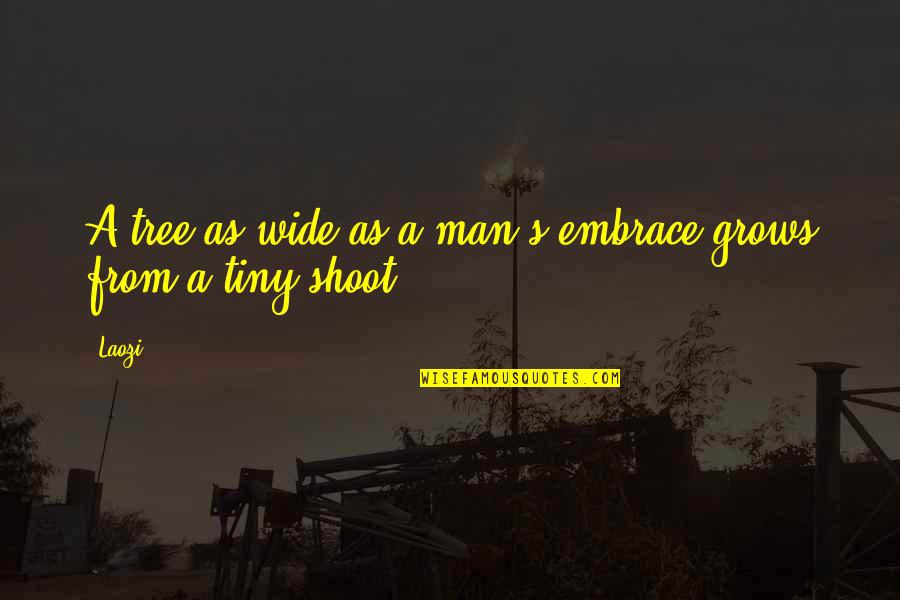 Embrace's Quotes By Laozi: A tree as wide as a man's embrace