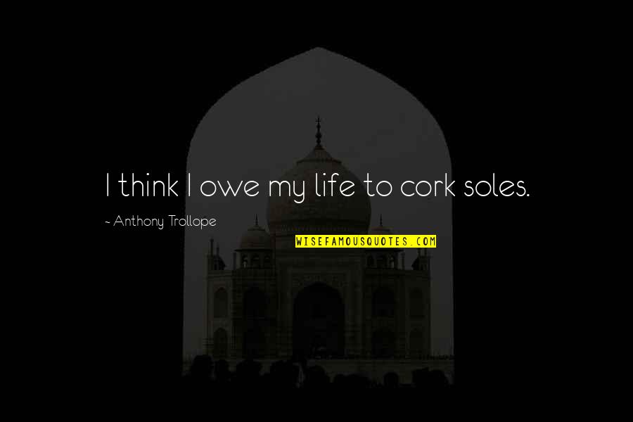 Embracing Flaws Quotes By Anthony Trollope: I think I owe my life to cork