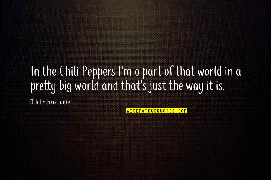 Embracing New Things Quotes By John Frusciante: In the Chili Peppers I'm a part of