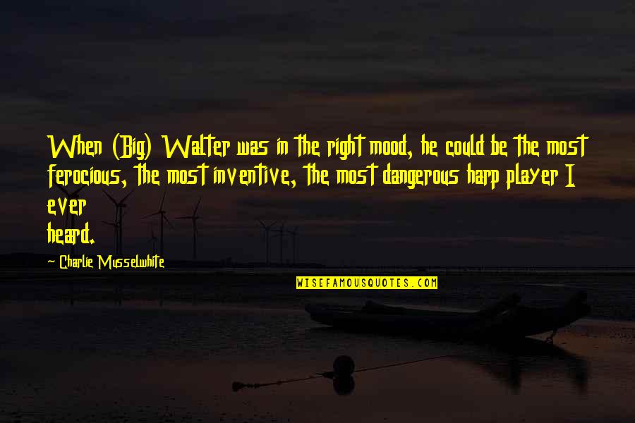 Embracing Other Cultures Quotes By Charlie Musselwhite: When (Big) Walter was in the right mood,