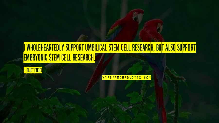 Embryonic Stem Cell Research Quotes By Eliot Engel: I wholeheartedly support umbilical stem cell research, but