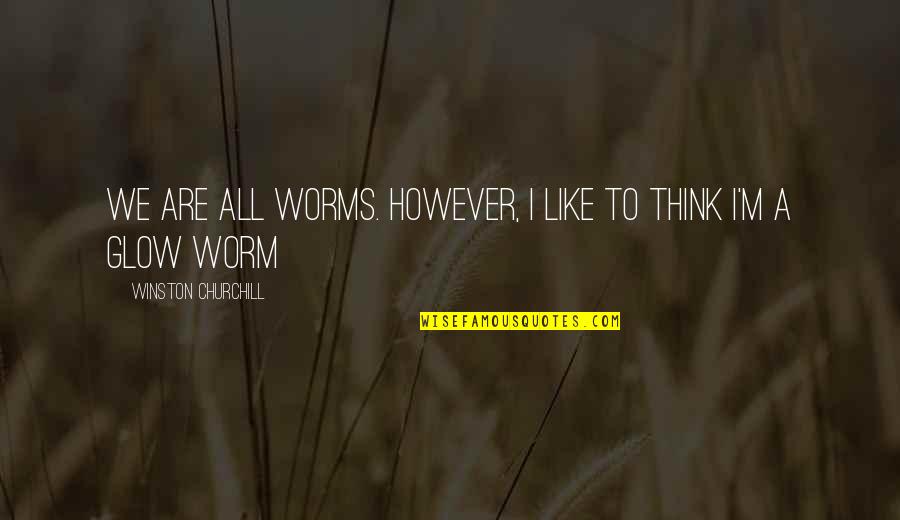 Embustero Quotes By Winston Churchill: We are all worms. However, I like to