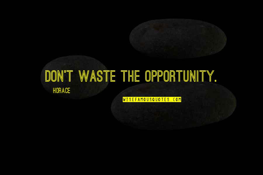 Emelise Knapp Quotes By Horace: Don't waste the opportunity. Emelise Knapp Quotes By Horace: Don't waste the opportunity.