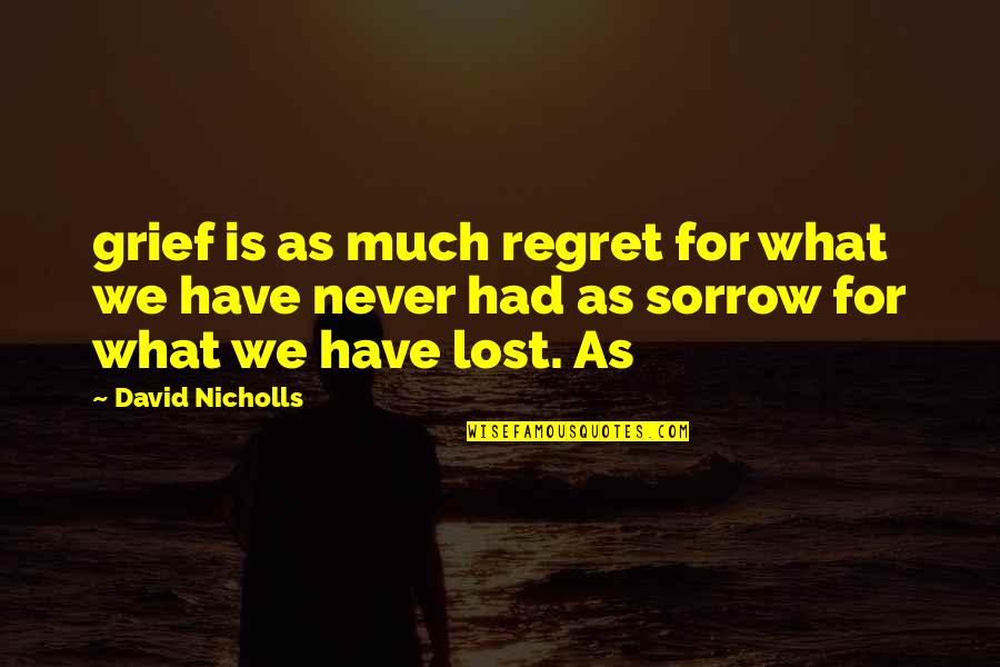 Emends Quotes By David Nicholls: grief is as much regret for what we