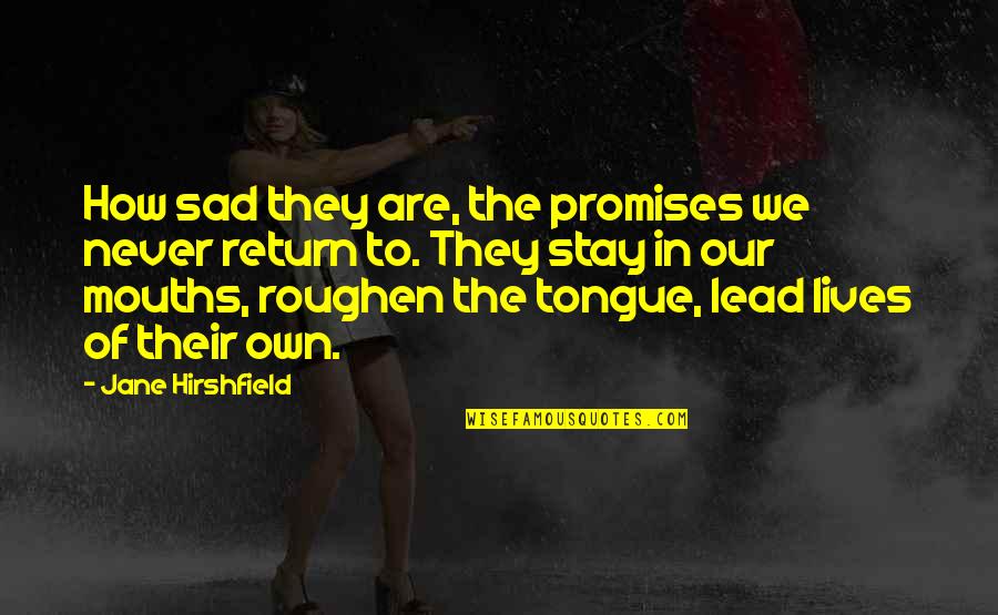 Ementa Rei Quotes By Jane Hirshfield: How sad they are, the promises we never Ementa Rei Quotes By Jane Hirshfield: How sad they are, the promises we never