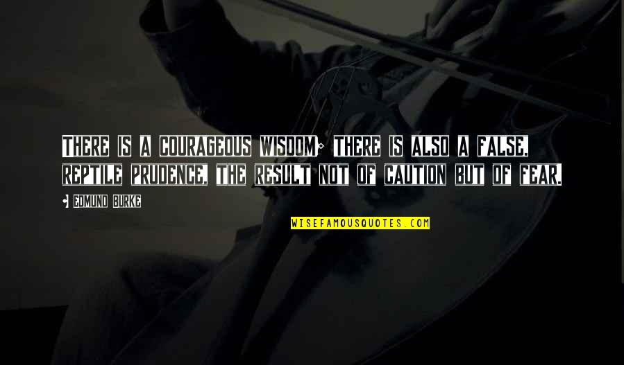 Emergency Response Plans Quotes By Edmund Burke: There is a courageous wisdom; there is also