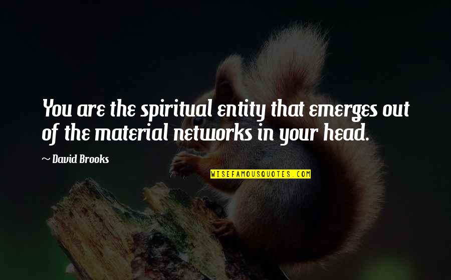 Emerges Quotes By David Brooks: You are the spiritual entity that emerges out