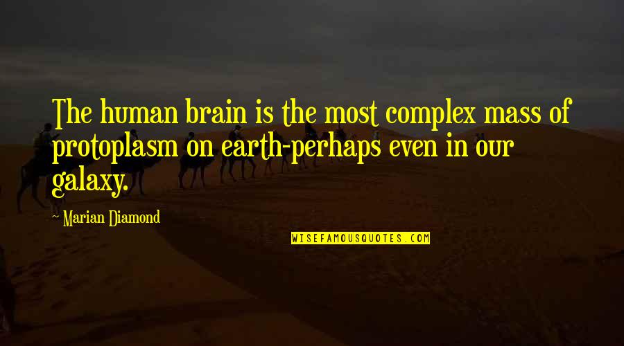 Emerging Risk Quotes By Marian Diamond: The human brain is the most complex mass