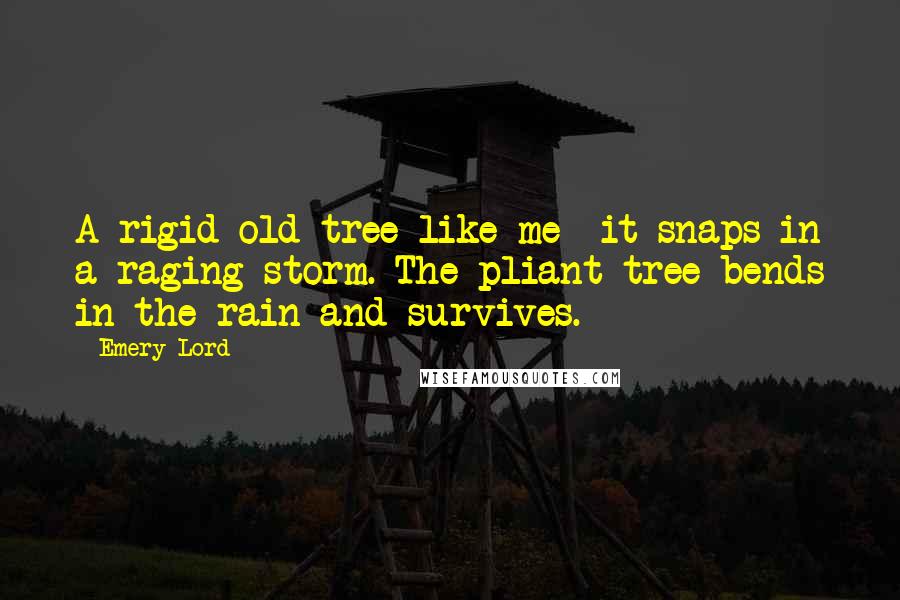 Emery Lord quotes: A rigid old tree like me--it snaps in a raging storm. The pliant tree bends in the rain and survives.