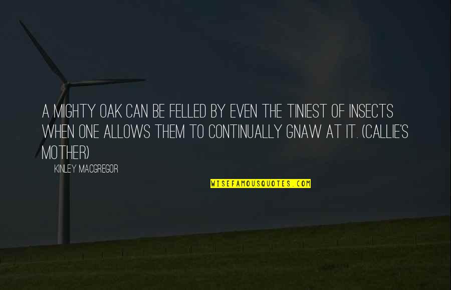 Emfscientist Quotes By Kinley MacGregor: A mighty oak can be felled by even Emfscientist Quotes By Kinley MacGregor: A mighty oak can be felled by even