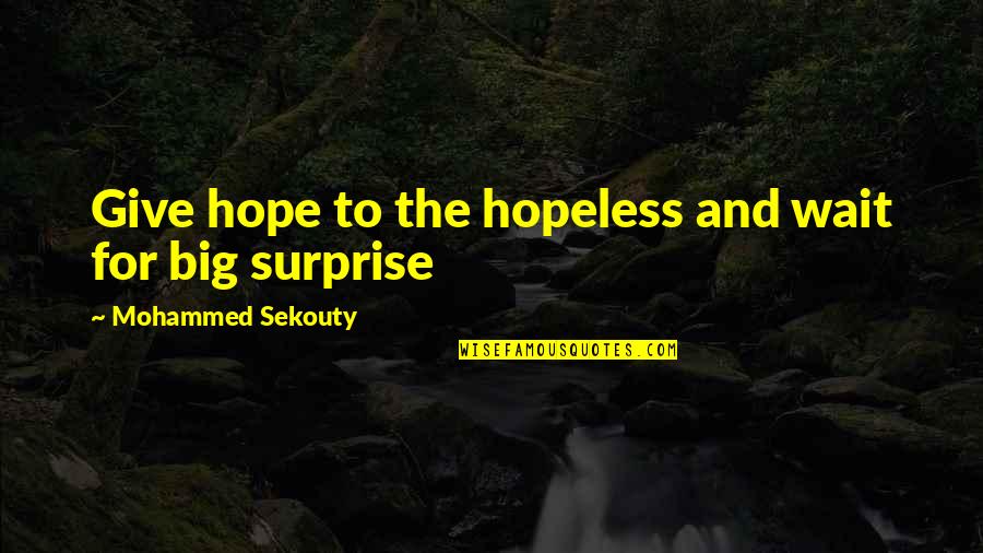 Emigrantes En Quotes By Mohammed Sekouty: Give hope to the hopeless and wait for